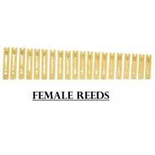 Musical Instrument Female High Class Sound Harmonium Reeds - Party and Festive Needs | Buy online on ZillyBuy