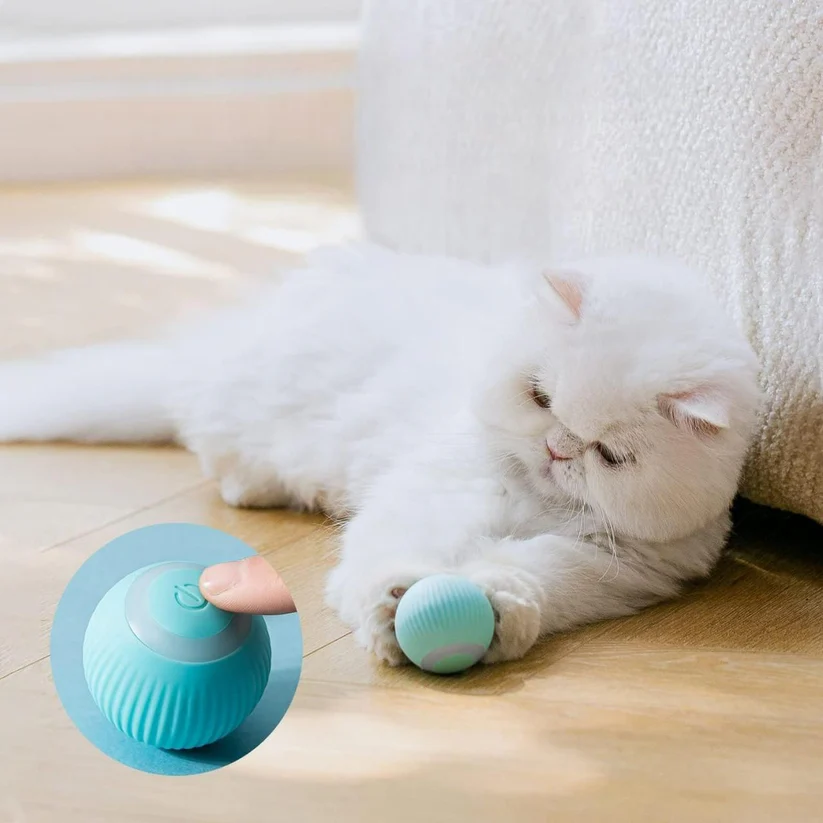 Rotating Cat Toy Ball, Interactive Cat Toys Rechargeable Rotating Ball with LED - Toys and Games | Buy online on ZillyBuy
