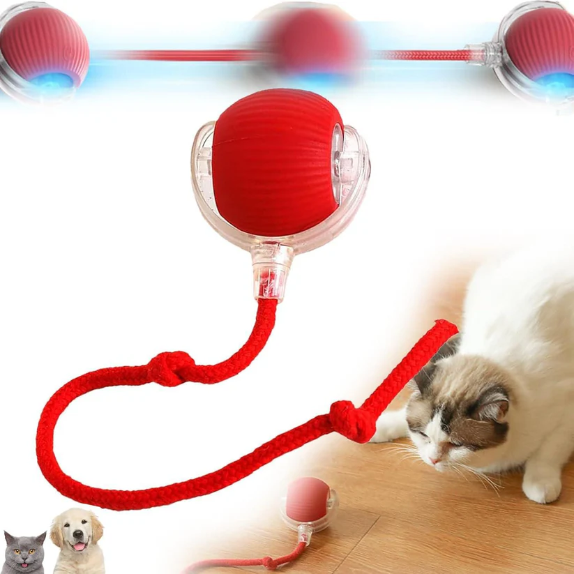 Viral Rolling Ball,Interactive Cat Ball Toy - Toys and Games | Buy online on ZillyBuy