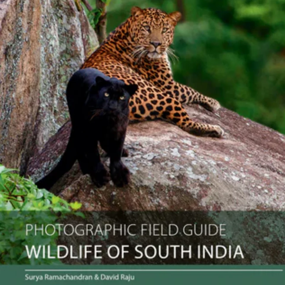 Photographic Field Guide - Wildlife of South India - Stationery | Buy online on ZillyBuy