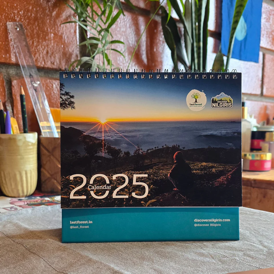 2025 Limited Edition Desk Calendar [Discover Nilgiris x Last Forest] - Celebrate the Natural Beauty of The Nilgiris - Stationery | Buy online on ZillyBuy