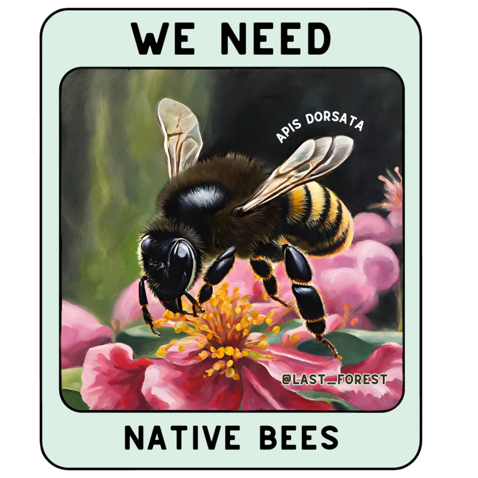 Sticker We Need Native Bees - Stationery | Buy online on ZillyBuy
