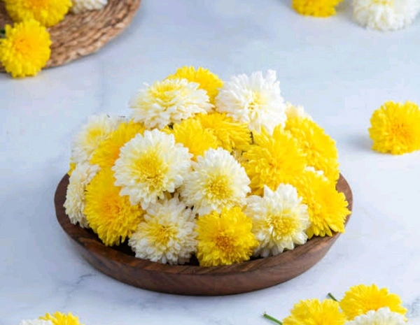 Shevanti Mix- Chrysanthemum, Mix - (Shevanti Phool) - 250 gm - Flowers | Buy online on ZillyBuy