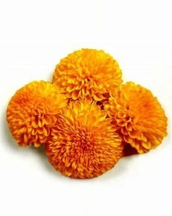 Marigold ( Orange - (Gulail Phool) Zendu - 250 gm - Flowers | Buy online on ZillyBuy