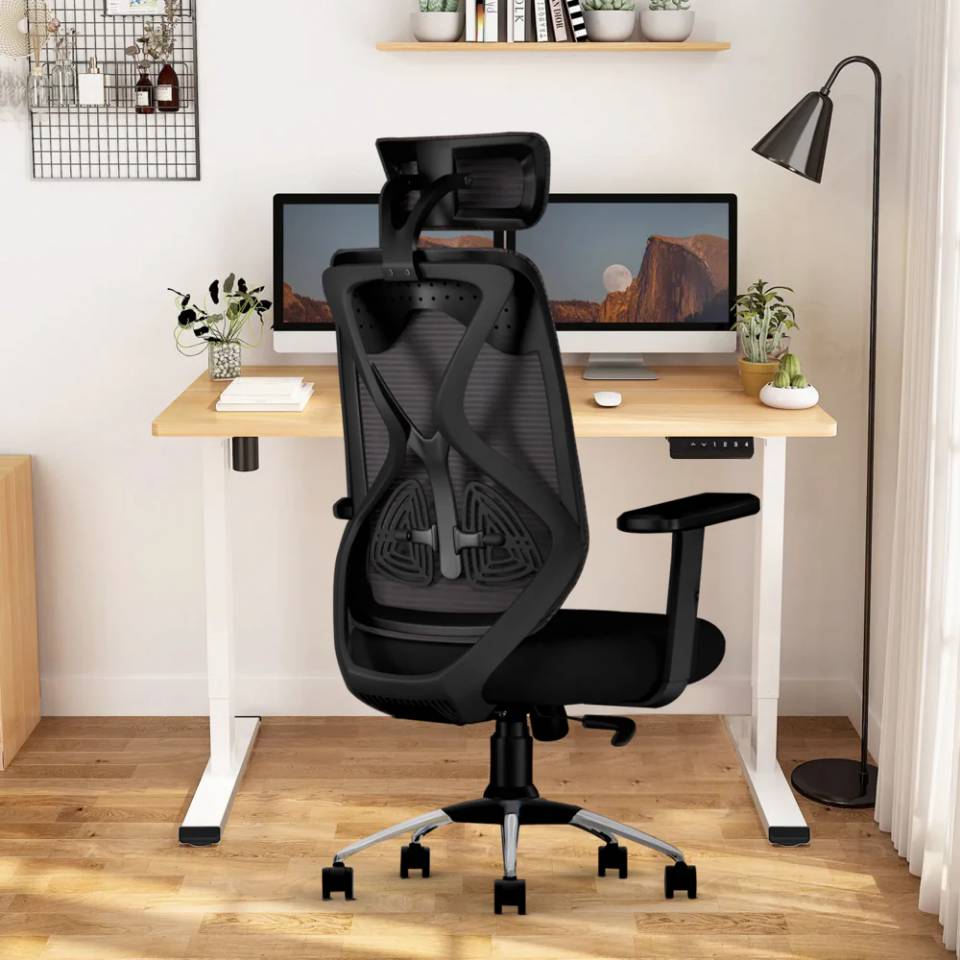 Apkainterior Ergonomic Mesh Executive Office and Home Chair (Black) black