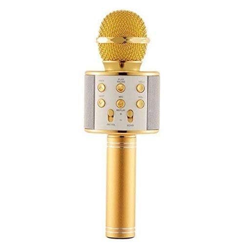 Golden Round Microphone for Singing & Fun Wireless Karaoke Mic with Echo, LED Lights & Bluetooth for Parties, & Adults - Home Audio | Buy online on ZillyBuy
