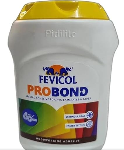 FEVICOL PRO BOND Multipurpose Adhesive, 1 kg, High Coverage and Grab - Hardware, Tools and Home Safety | Buy online on ZillyBuy