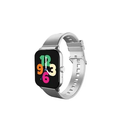 Swiss Military ANKAA 7i Smart Watch silver