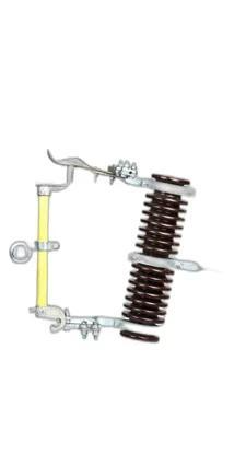 11kv Drop Out Fuse - Electricals | Buy online on ZillyBuy