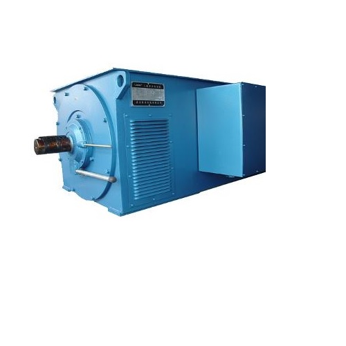 Wolong HT Motors - Electricals | Buy online on ZillyBuy