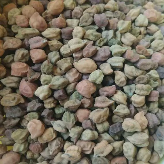 Black Chana