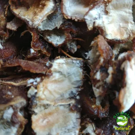 Tamarind