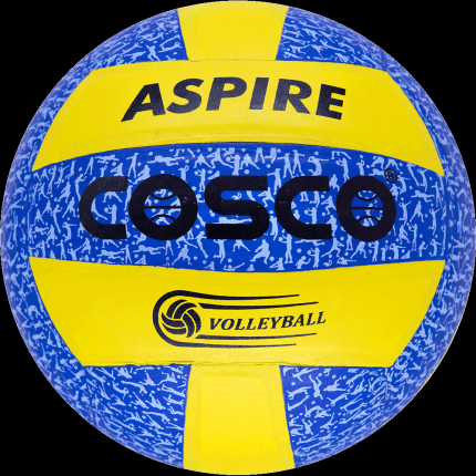 Cosco Aspire Volleyball gray