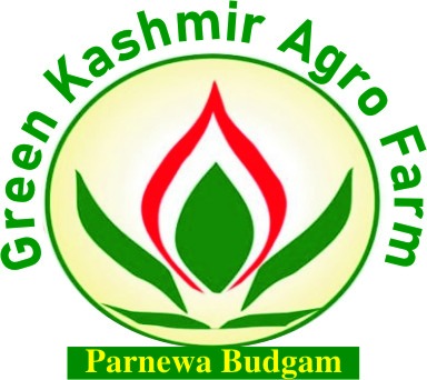  3410_green kashmir agro farm 