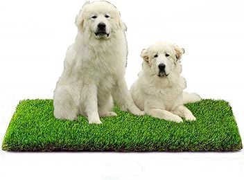 Eurotex 35MM Artificial Grass Carpet Mat for Balcony, Lawn, Door, Soft Comfortable (PE & PP, Natural Green, 1.5x3 Feet) - Hardware, Tools and Home Safety | Buy online on ZillyBuy