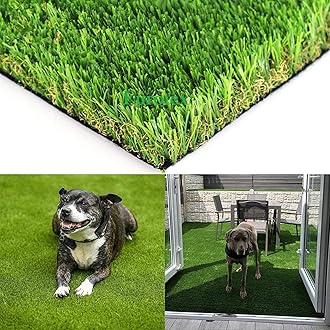 Eurotex 35MM Artificial Grass Carpet Mat for Balcony, Lawn, Door, Soft Comfortable (PE & PP, Natural Green, 6.5x3 Feet) - Hardware, Tools and Home Safety | Buy online on ZillyBuy